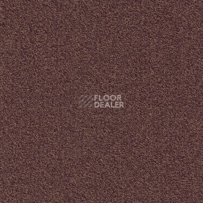 Ковровая плитка Modulyss Millennium Nxtgen Millennium Nxtgen 323 фото 1 | FLOORDEALER